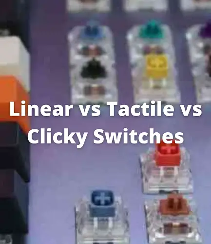 Linear vs Tactile vs Clicky Switches
