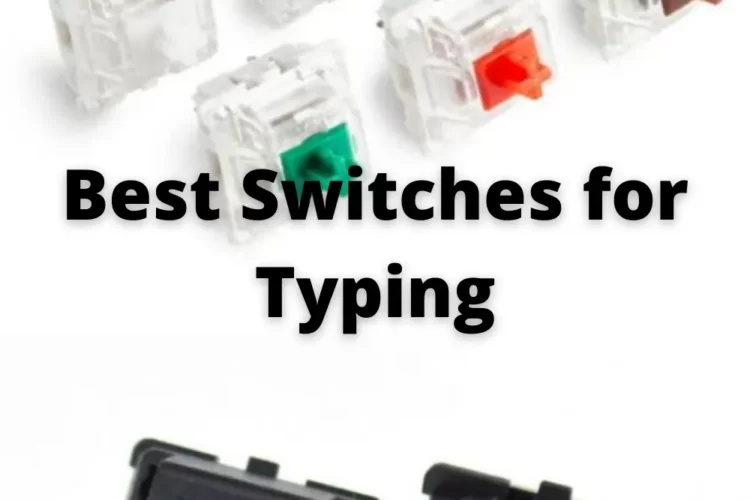 Best Switches for Typing