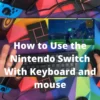 How to Use the Nintendo Switch With Keyboard and mouse