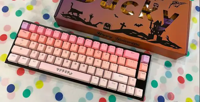 Sakura Michi Keycap Set