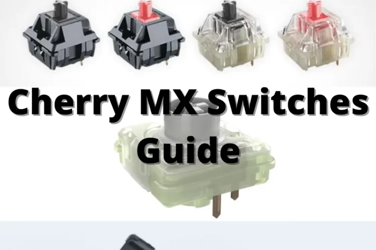 Cherry MX Switches Guide