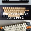 Best Keycaps for Anne Pro 2
