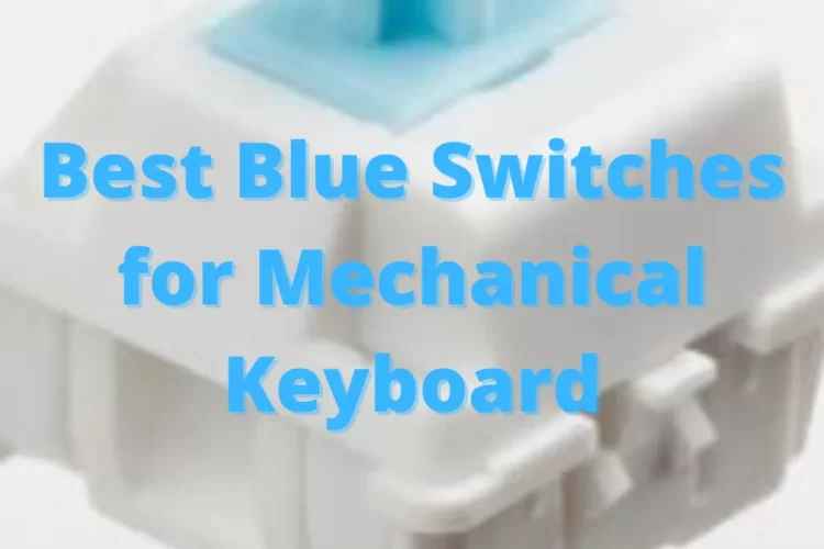 Best Blue Switches for Mechanical Keyboard