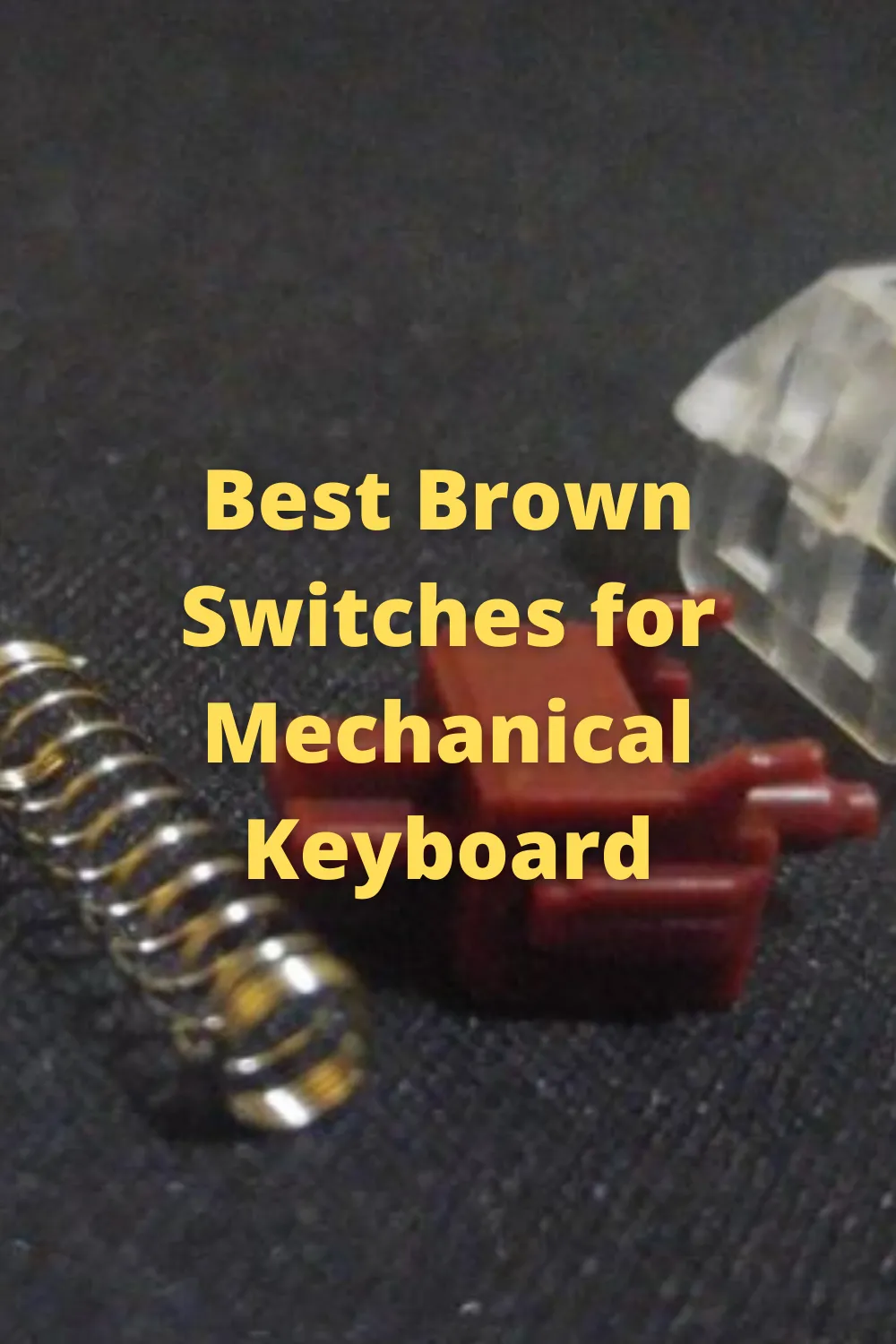 Best Brown Switches for Mechanical Keyboard