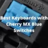 Best Keyboards with Cherry MX Blue Switches