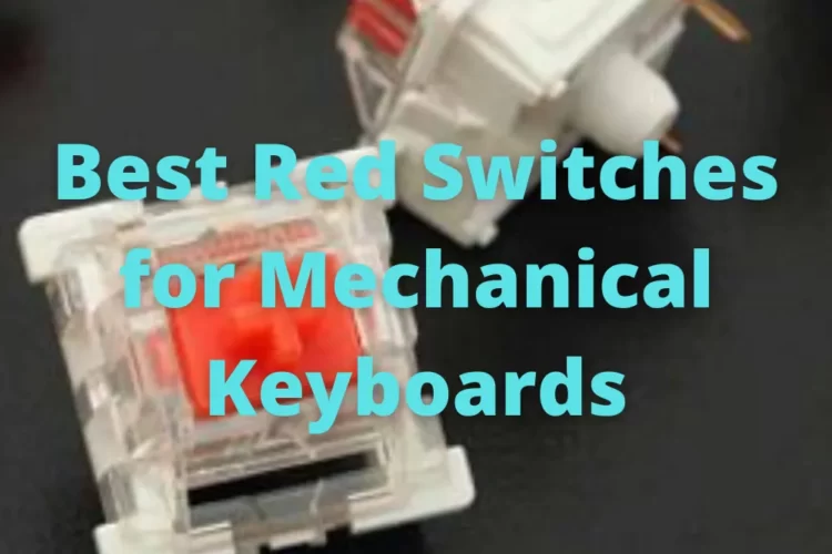 Best Red Switch for Mechanical Keyboard