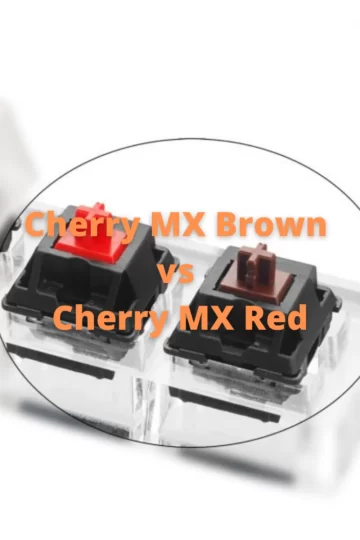 Cherry MX Brown vs Cherry MX Red