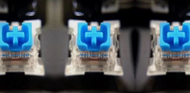 Are Blue Switches Good for Keyboards?