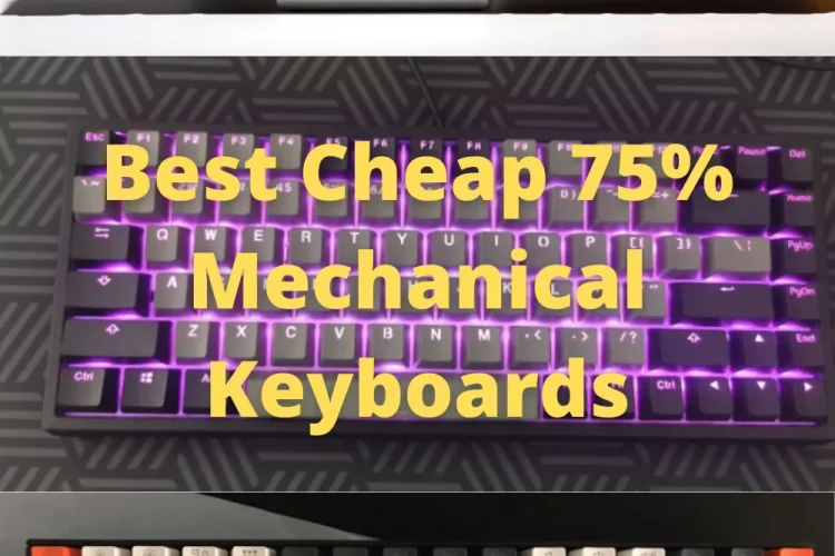 Best Cheap 75% Mechanical Keyboards