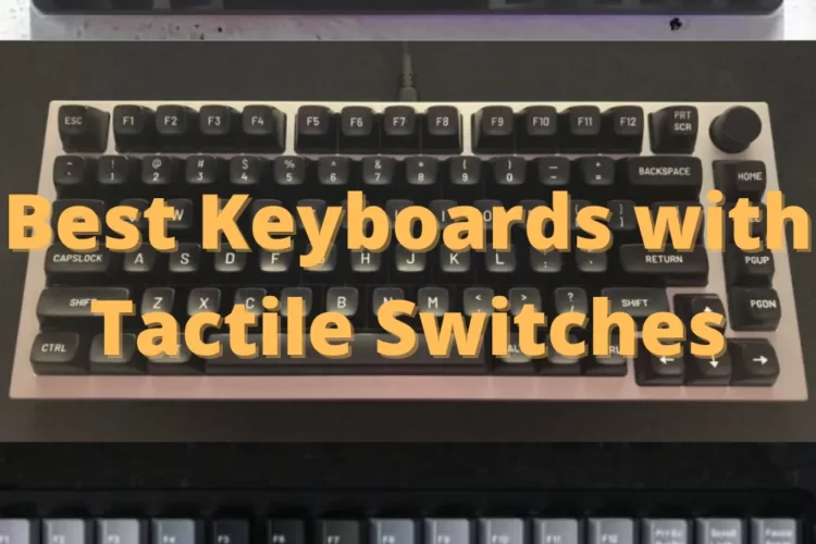 Best Keyboards with Tactile Switches