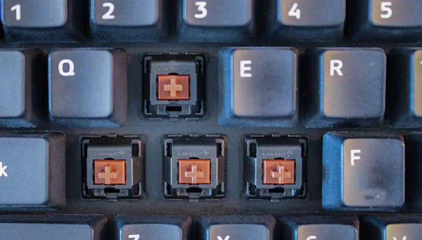 What Are the Different Types of Mechanical Keyboards?