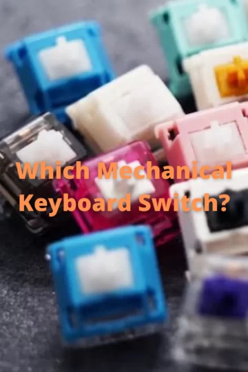 Which Mechanical Keyboard Switch?