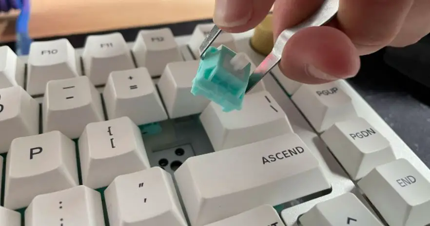 Replacing The Swithes On Your Mechanical Keyboard