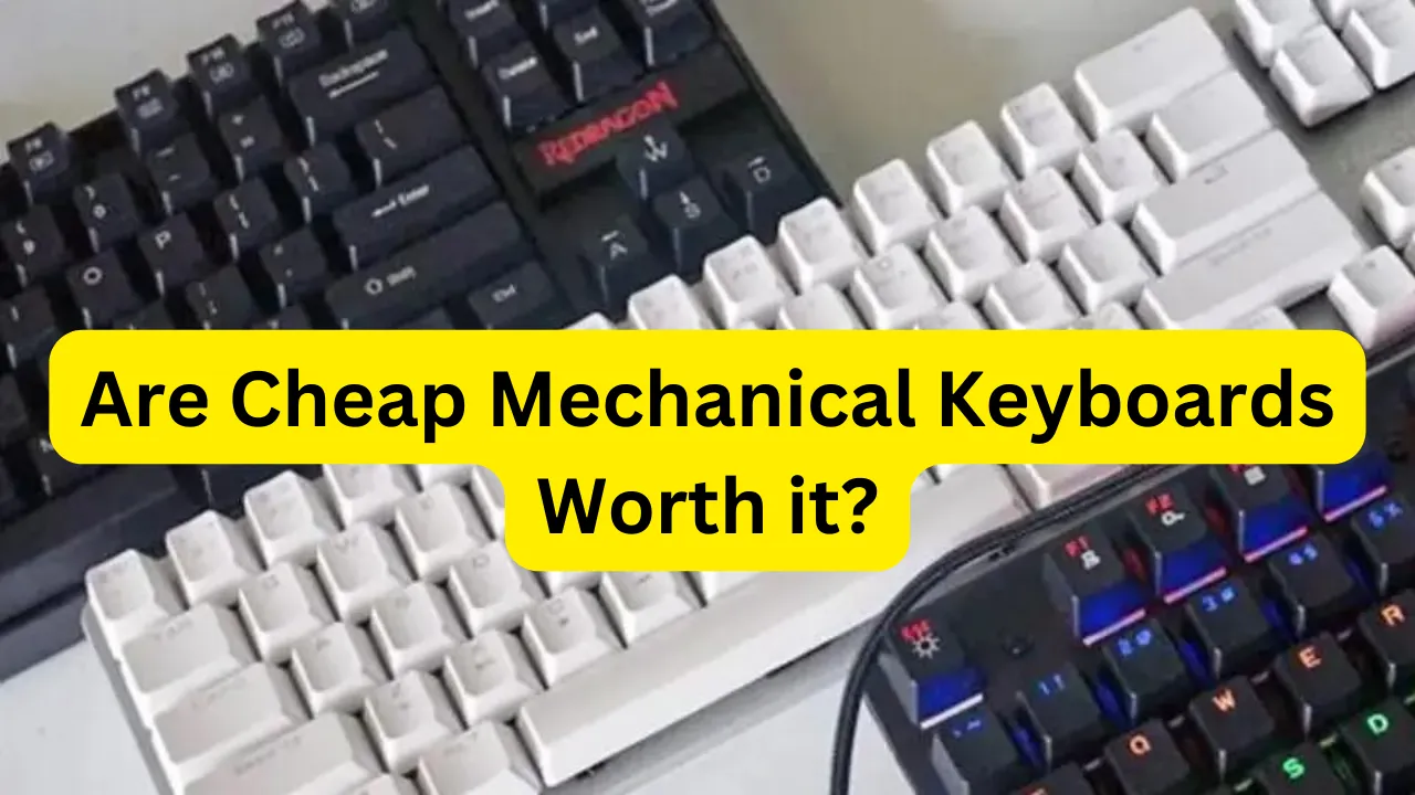 Are Cheap Mechanical Keyboards Worth it?