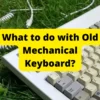What to do with Old Mechanical Keyboard?