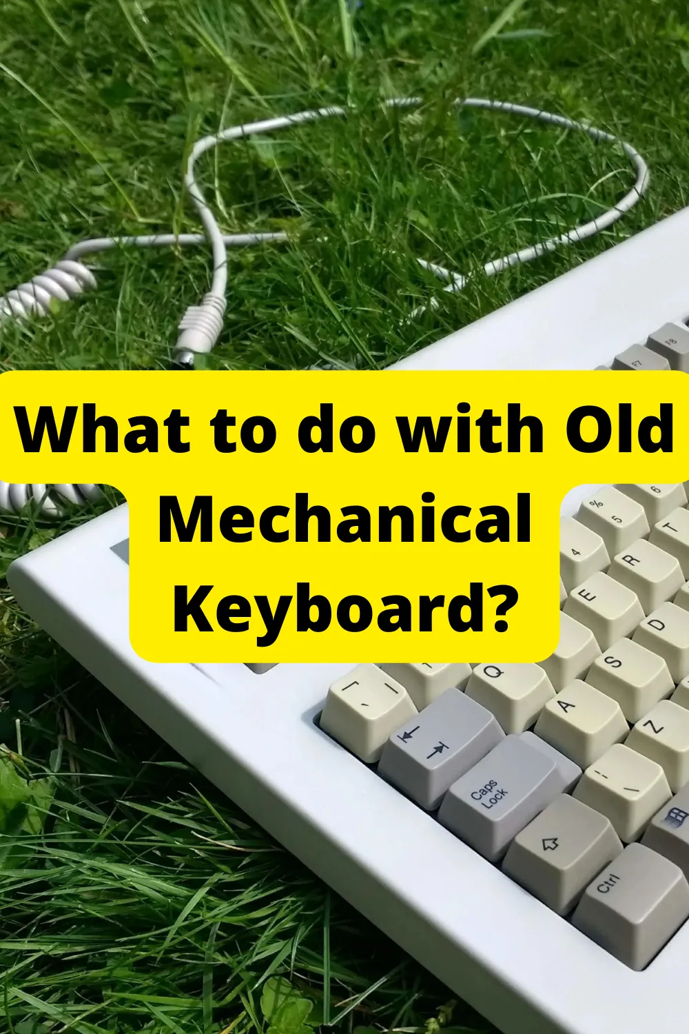 What to do with Old Mechanical Keyboard?