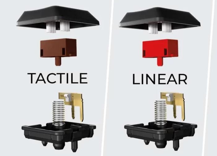 Linear Or Tactile Switch