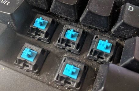 Linear vs Tactile vs Clicky: Clicky Switches: Loudest And Bumpy