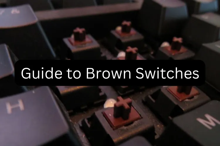 Guide to Brown Switches