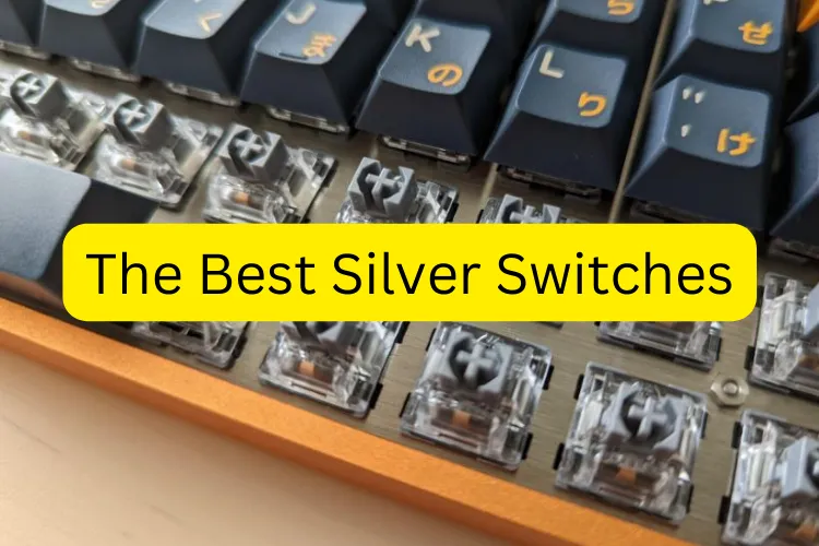 The Best Silver Switches
