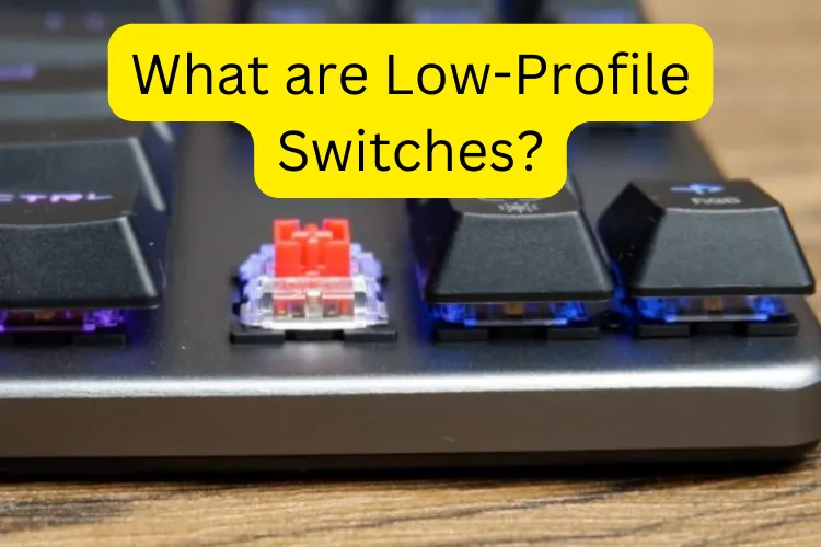 What are Low-Profile Switches?