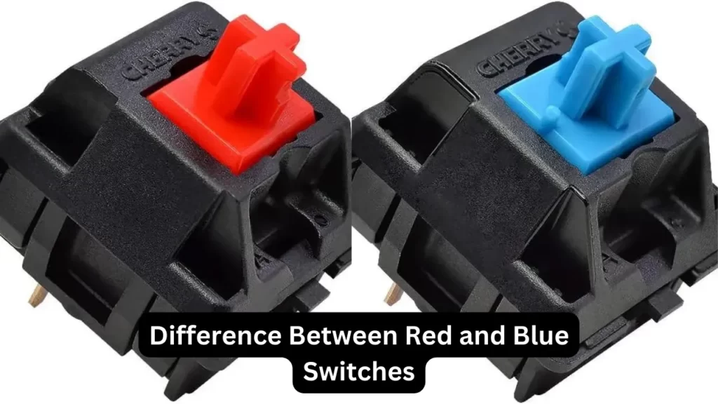 Difference Between Red and Blue Switches