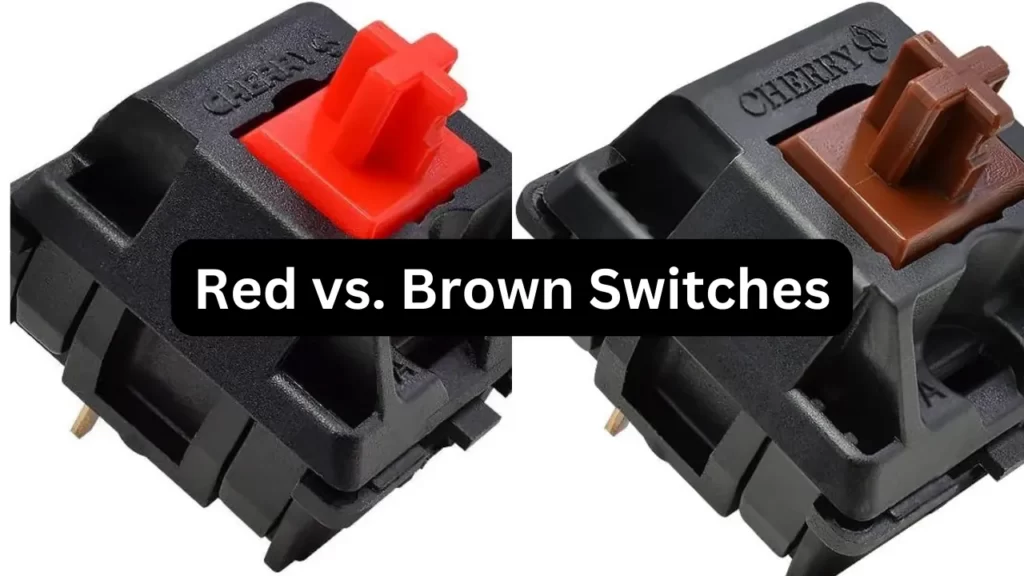 What is the difference between red switches and brown switches?