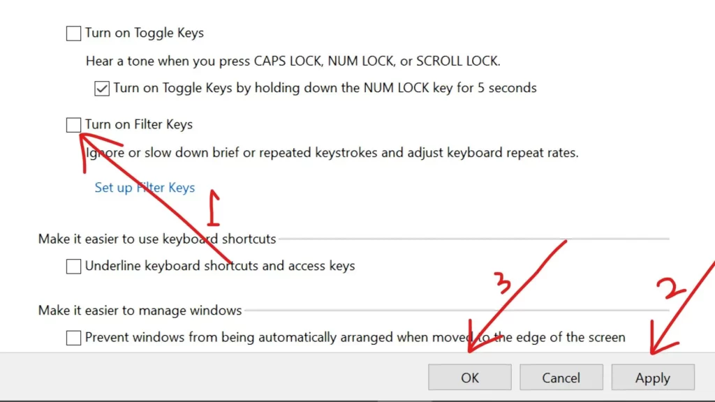 Step 4: Deselect the "Turn on Filter Keys" checkbox.